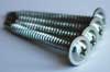 Baypole Screws